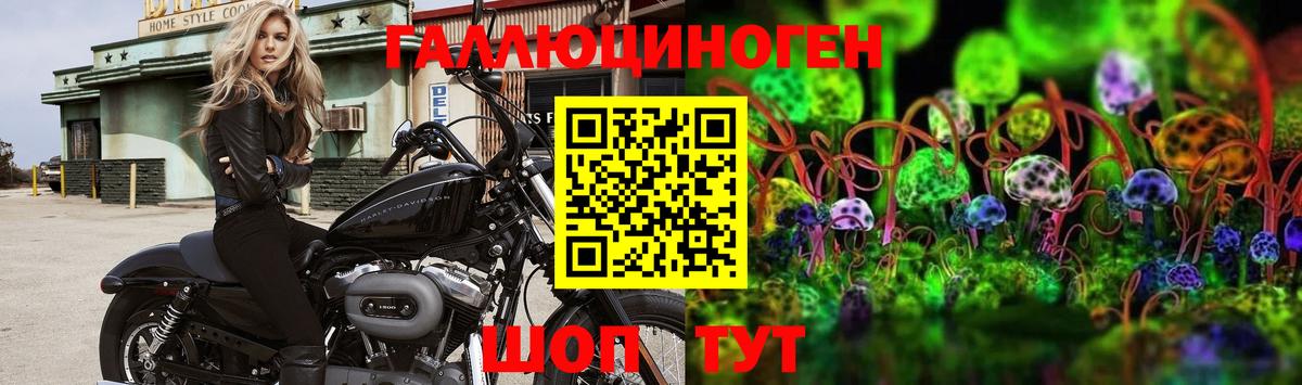 Орёл  Псилоцибиновые грибы Magic Shrooms  Вход с VPN 